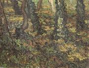 Vincent Van Gogh Tree Trunks with Ivy (nn04) Spain oil painting artist